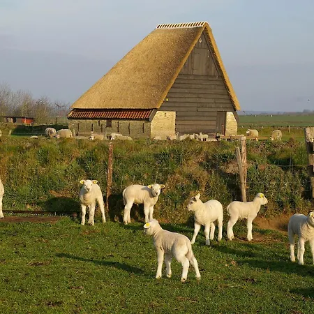 Great In With Garden * De Cocksdorp (Texel)